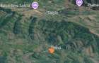 Casă cu 3 camere în Trenu - 5