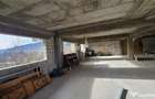 Spatiu Comercial cu terase si Hale de in Frasin Suceava 072 - 3