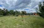TEREN INTRAVILAN 8000 MP | PARTIAL IMPREJMUIT | PESTERE | BI - 2