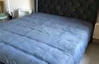 Apartament cu 1 camera in zona Aradului - 1
