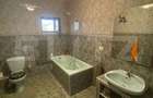 Vila Remetea Mare 380mp utili, 3982 mp teren - 6