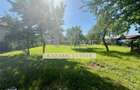 Casa 4 camere , cu beci ,1681m2 teren , Boldesti Scaeni - 4