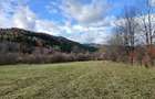 Vand teren in Sat Sulta, com. Agas, Bacau - 2
