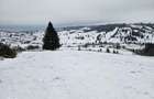 Teren de vanzare extravilan in Bucovina Breaza zona Paraul Negrei - 5