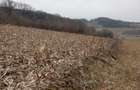 Gradina, teren 3000 mp - 1
