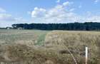 Lot teren intravilan Ciolpani - padurea Snagov - 4
