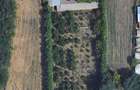 15 euro mp Intravilan - Cuza Voda, CL, 4400 mp sau 2200 mp, intravilan