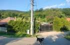 Casa la tara constructie noua Dragu - 4