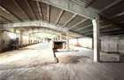 HALE INDUSTRIALE | CLADIRE BIROURI | TEREN 7000 MP | GHEGHIE BIHOR - 9