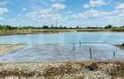 Teren intravilan 4,76 ha cu 2 balti de pescuit | Pitaru | 4 km de A1 - 4