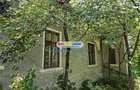 Vanzare casa batraneasca S + P teren Valea Voievozilor - 6