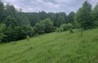 Teren de 2200 mp, în Dăești - 7