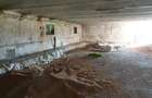 Inchiriere teren 30,000mp si hale in conservare Singureni Giurgiu - 2