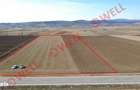 Teren extravilan de vanzare intre Chilieni si Coseni, pe DN12! - 3