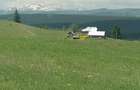 Teren de 45000 mp, în Ortoaia - 6
