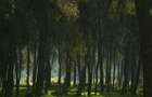 Padure=Forest for sale in Vrancea(Odobesti)=5996 sqm=Vand padure-n Vrancea(Odobesti)=5996 mp - 1