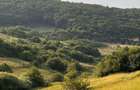 Teren 500mp, Valea Sanaslaului - 1