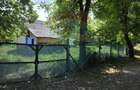 Teren intravilan mare cu casa veche In Buciumi langa Onesti - 3