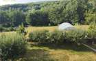 Valea Capriorii | 1127 MP | Intravilan | Front 33 MP - 3