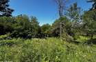 Teren doua loturi 3100/14 mp. - 2800/12 mp. Daesti - Valcea - 11