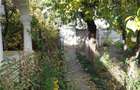 Casă cu Teren 1925 Mp în Gara Berheci - 3