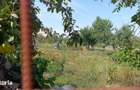 De vanzare casa in localitatea Covaci - Jud. Timis - 4