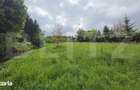 Teren intravilan de vanzare, 2293 mp | Valea Jelnei - 1