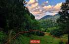 Teren investitie 8635 mp extravilan , Pestera Brasov - 5