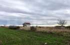 Teren intravilan 3.800 mp, zonă liniștită, Malu Mare
