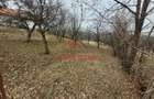 Teren intravilan in Breaza,1358 mp, 40.000e - 9