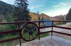 Cabana de inchiriat in Rausor Retezat pentru Revelion