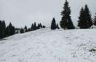 Teren de vanzare extravilan in Bucovina Breaza zona Paraul Negrei - 8