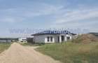 Teren Balotesti,padure Sri,19500 euro - 2