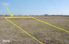Vand teren intravilan Iosia (Oradea) 4 200 mp sau 2 100 mp - 13