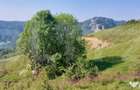 Teren extravilan pentru cabana, 3800 mp, zona-Ramet Transapu - 1