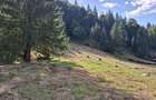 Teren intravilan la munte - 6