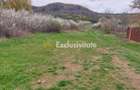 Teren Topoloveni - 3670 mp - langa padure, aproape de Centrul orasului - 2