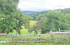 Teren de 1000mp in Bran, satul pitoresc Pestera - 16