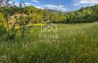 Teren de vanzare | 12 259mp | - 6