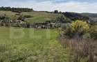 Parcela 12000 mp teren intravilan de vanzare in Livezeni - 3