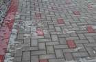 Casă cu Teren 1050 Mp în Lenauheim - 4