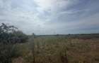 Teren intravilan 7.100 mp Plaiul Vulcanesti, Carcea | Toate utilitatile | 65 /mp negociabil - 1