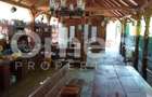 Casa noua pe un nivel + teren 1450 mp | foi?or rustic | Satu Nou de Su - 3
