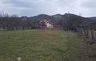 Teren 734 mp intravilan de vanzare in Brebu - 8