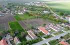 Gospodarie de vanzare in Giulvaz, judetul Timis - 7