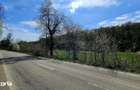 Teren 10,000mp Nemtisor / DJ 155C - 11