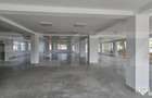 CLADIRE PREMIUM DE BIROURI SI SPATII COMERCIALE IN BISTRITA - 8