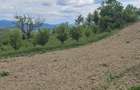 Sala?+ livada+ teren agricol in Sichevi?a- Clisura Dunarii - 7