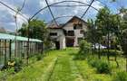 Vanzare casa Vulcana Pandele, teren: 3.374 mp - 1