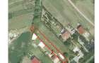 Teren intravilan de vanzare in Snagov, 995 mp, Langa Padure! - 5